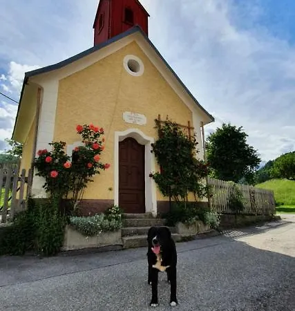 Haus Stoffenhof شقة *
