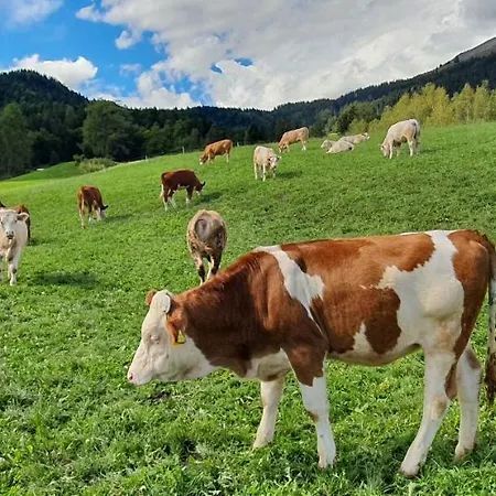Haus Stoffenhof شقة *