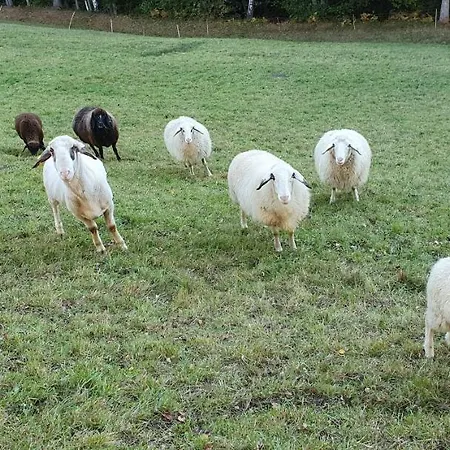 Haus Stoffenhof شقة *