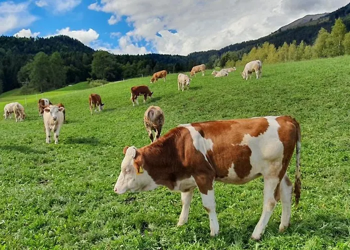 Haus Stoffenhof Lejlighed *