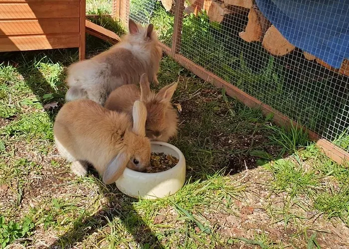 Lejlighed Haus Stoffenhof Rosenberg