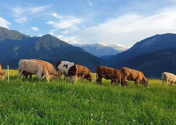 Haus Stoffenhof Rosenberg