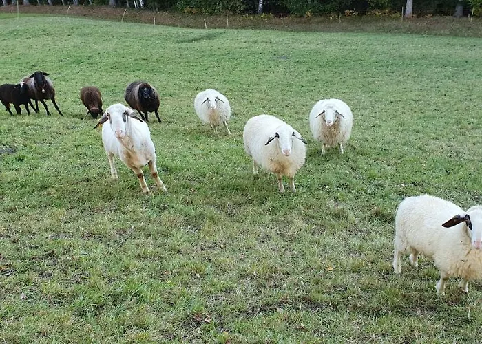 Haus Stoffenhof Lejlighed *