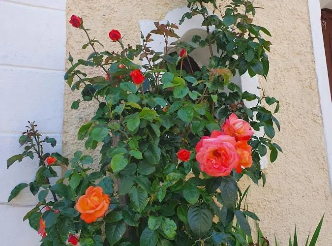 Lejlighed Haus Stoffenhof